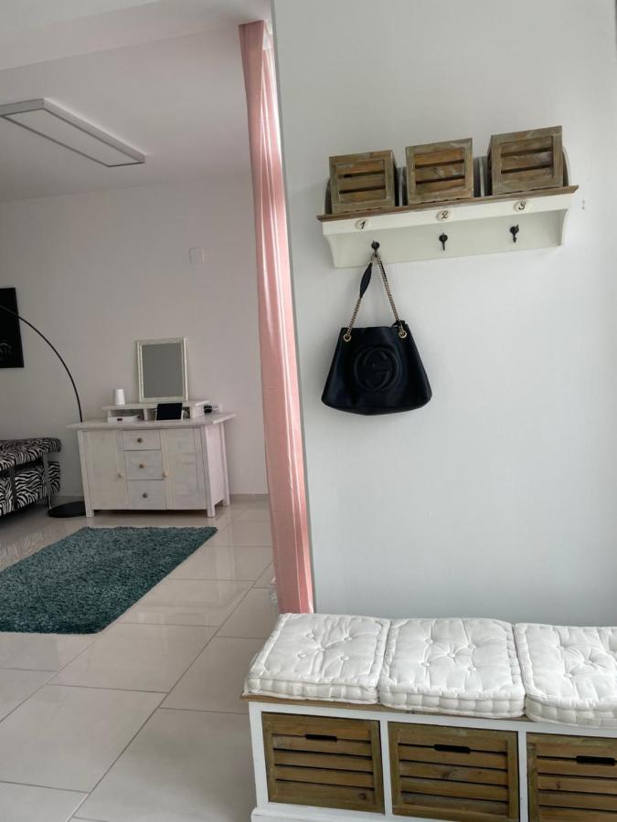 Stadtsuite Mit Sauna In Wiener Neustadt 135 M2 外观 照片