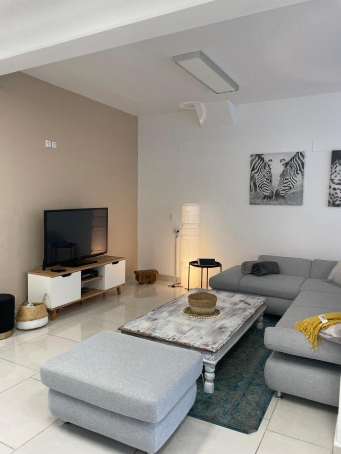 Stadtsuite Mit Sauna In Wiener Neustadt 135 M2 外观 照片