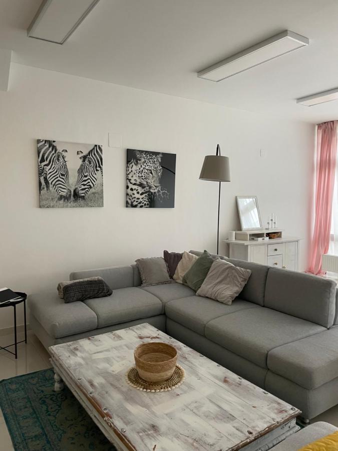Stadtsuite Mit Sauna In Wiener Neustadt 135 M2 外观 照片
