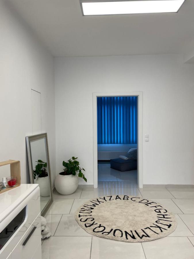 Stadtsuite Mit Sauna In Wiener Neustadt 135 M2 外观 照片