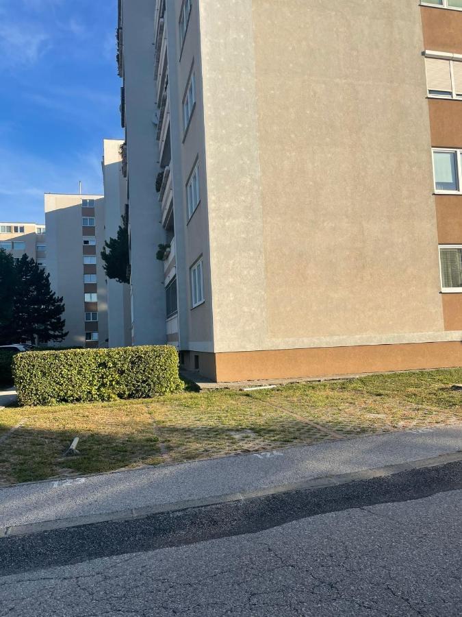 Stadtsuite Mit Sauna In Wiener Neustadt 135 M2 外观 照片