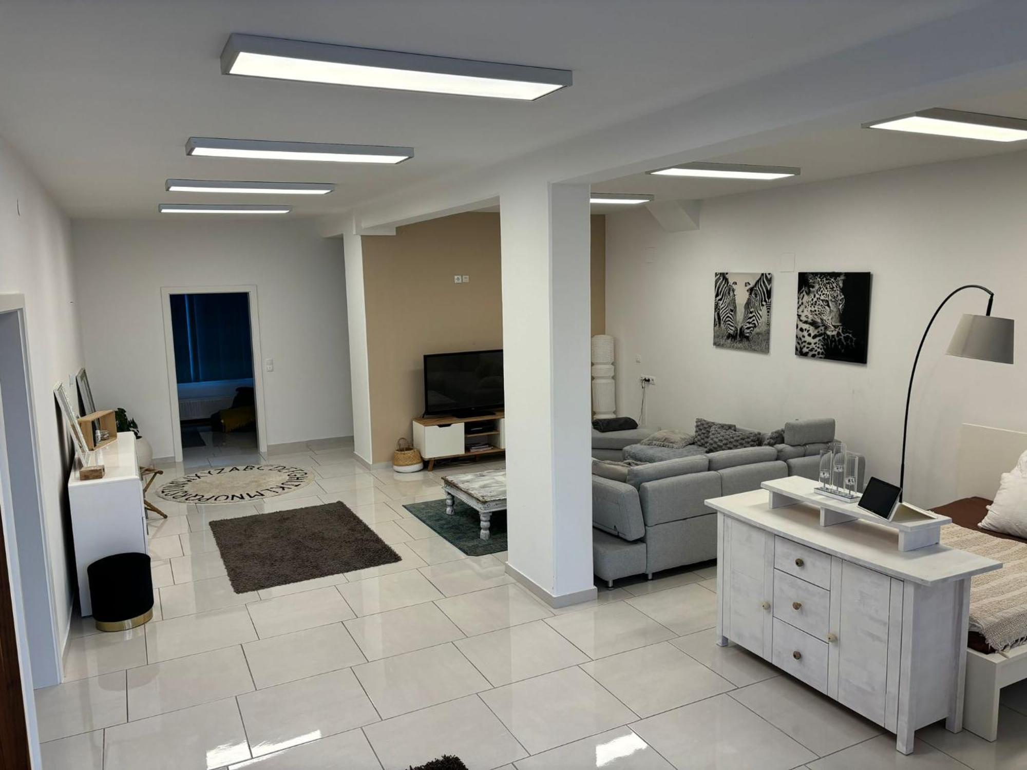Stadtsuite Mit Sauna In Wiener Neustadt 135 M2 外观 照片