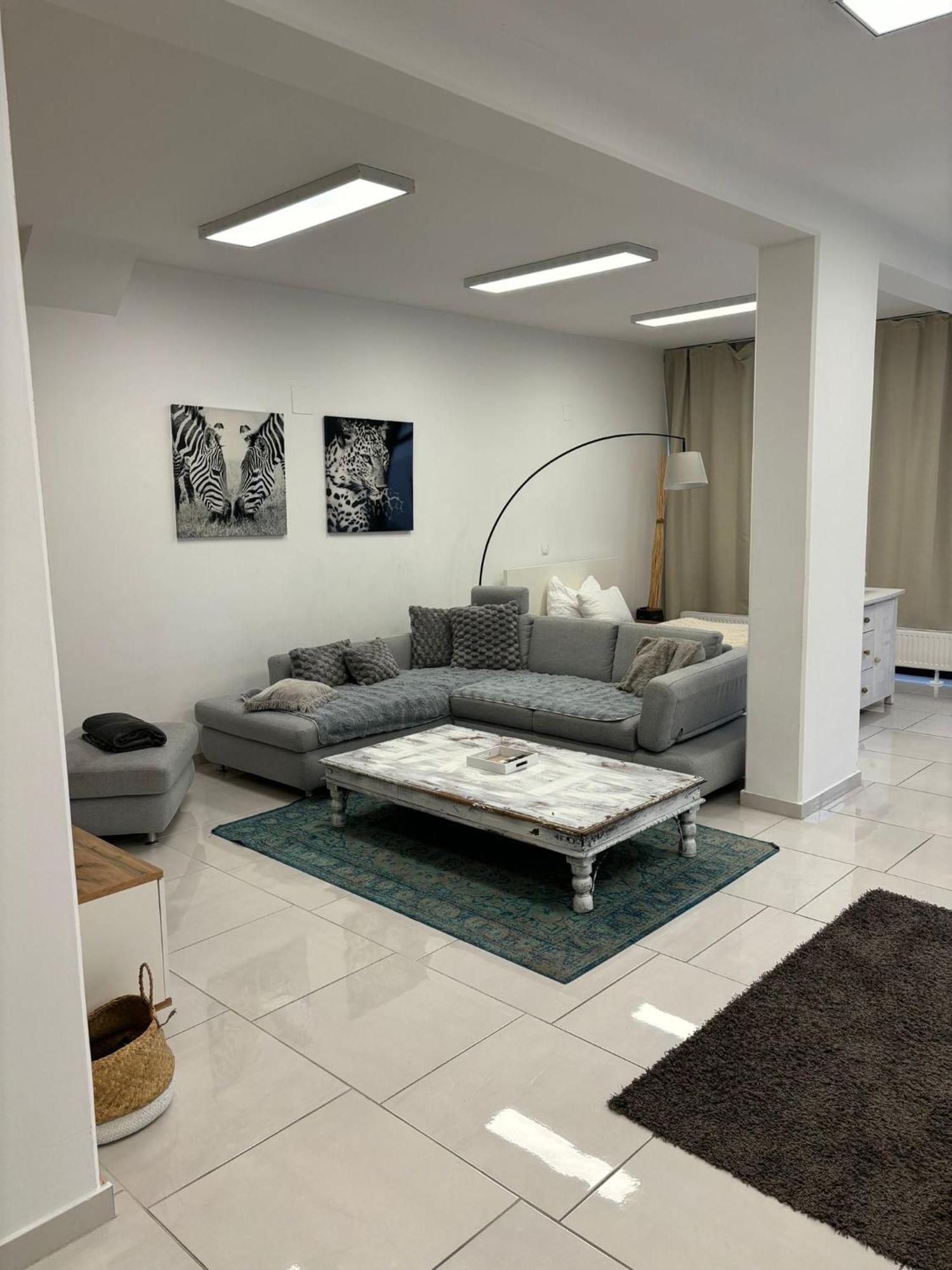Stadtsuite Mit Sauna In Wiener Neustadt 135 M2 外观 照片