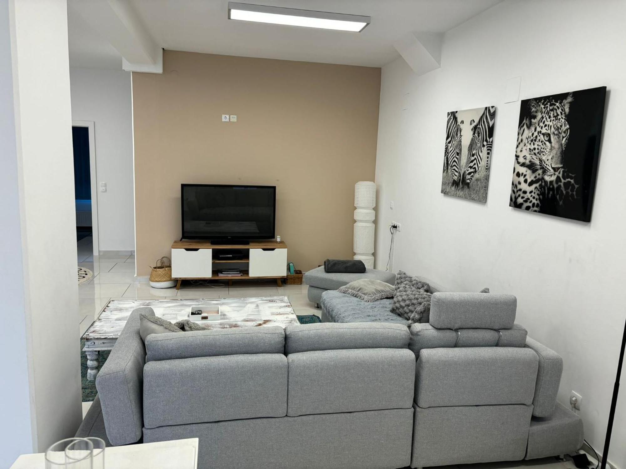 Stadtsuite Mit Sauna In Wiener Neustadt 135 M2 外观 照片